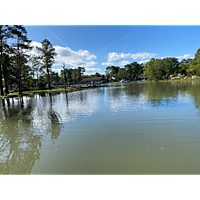 King tide image